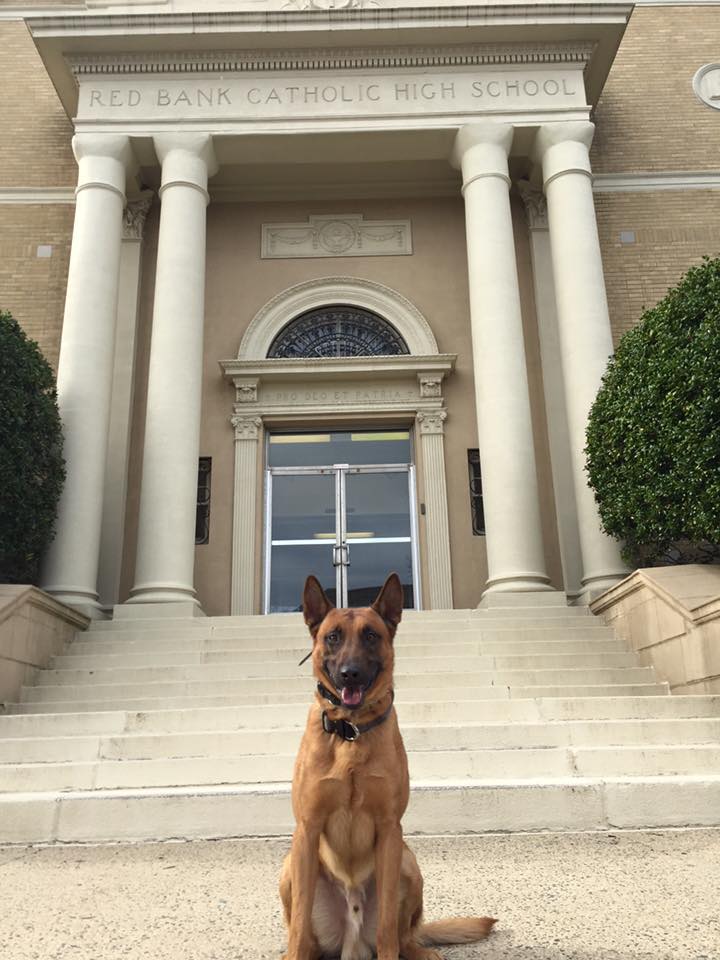 Red Bank PD K-9 Hunter